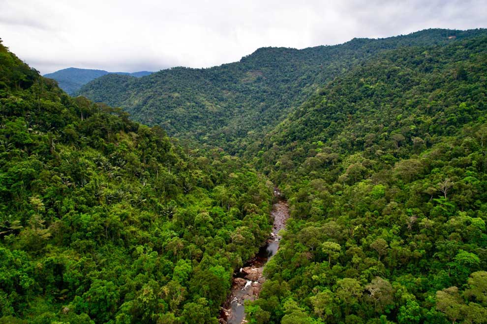 Cardamom Mountain: Keindahan Alam dan Petualangan di Kamboja